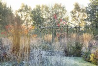 Rustic coppiced ash gazebo surrounded by ornamental grasses and perennials covered in frost.