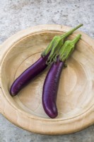 Aubergine 'Purple Judy'. Two ripe fruits in a wooden dish. August