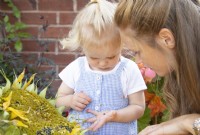 Toddler showing her mother a ladybird from a Helianthus - Sunflower 