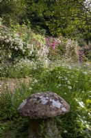View across garden at Moor Wood, Gloucestershire, with staddle stone, rambler roses and ox-eye daisies