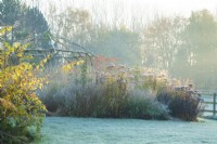 Rustic coppiced ash gazebo in frost surrounded by perennials