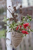 Winter bouquet including guelder rose and mistletoe with berries, larch twigs with cones and ilex foliage in home made hanging rope container.