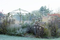 Frosted rustic, coppiced ash gazebo surrounded by perennial grasses and seedheads.