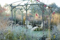 Rustic coppiced ash gazebo and wooden sunloungers in frost, surrounded by ornamental grasses and perennial seedheads