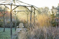 Frosted coppiced ash gazebo and wooden seats at sunrise surrounded by ornamental grasses.