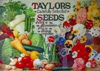 Poster of vintage botanical illustrations for Taylors seed Merchants