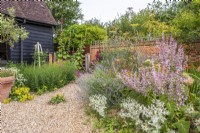 Walled front garden of black barn with naturalistic planting and containers in gravelled area.  Plants include:- Lavandula; Eryngium gigantea; Salvia sclearia; Alcea; Foeniculum vulgare;