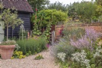 Walled front garden of black barn with naturalistic planting and containers in gravelled area.  Plants include:- Lavandula; Eryngium gigantea; Alcea; Foeniculum vulgare;