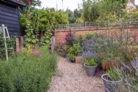 Walled front garden with naturalistic planting and containers in gravelled area.  Plants include:- Lavandula; Eryngium gigantea; Salvia sclearia; Alcea; Foeniculum vulgare; Lupinus; Buddleja 'Prince Charming'