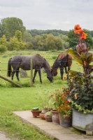 Country garden with horses in the adjoining field