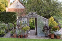 Greenhouse flanked by pots of succulents and cacti in September