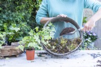 Woman placing compost in compost sieve
