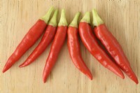 Capsicum annuum  'Basket of Fire'  Picked Chilli peppers  F1 Hybrid  September