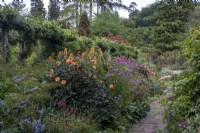 Paved path leading through misty autumnal borders in cottage-style garden, perennials overflowing across the path