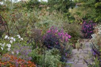 Paved path leading through autumnal borders in cottage-style garden, with Dahlia 'Magenta Star', Fuchsia magellinca, Helenium 'Sahin's Early Flowerer' and Rosa moyesii 'Geranium' Rose hips