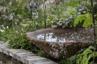 The Nurture Landscapes Garden. Designer: Sarah Price. A garden using low carbon materials. Birdbath/water feature with naturalistic planting including Rosa 'Nozomi' by low wall. Summer. Chelsea Flower Show. Gold Medal.