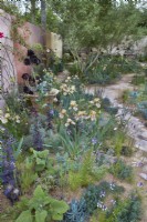 The Nurture Landscapes Garden. Designer: Sarah Price. A garden using low carbon materials. Iris 'Benton Olive'. June. Summer. Chelsea Flower Show. Gold Medal.