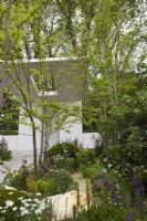 Memoria and GreenAcres Transcendence Garden. Designers: Gavin McWilliam and Andrew Wilson. Chelsea Flower Show 2023.  Contemporary cantilevered pavilion with Gleditsia triacanthos trees. Summer.  