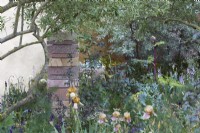 The Nurture Landscapes Garden. Designer: Sarah Price. A garden using low carbon materials. Naturalistic planting. Brick/stone feature. Summer. Chelsea Flower Show. Gold Medal.