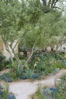 The Nurture Landscapes Garden. Designer: Sarah Price. A garden using low carbon materials. Chelsea Flower Show. Gold Medal. 