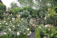 Rose garden with large decorative pot at New Fulfen Cottage, Lichfield, June
