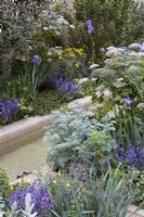Hamptons Mediterranean Garden. Designer: by Filippos Dester.  RHS Chelsea Flower Show 2023. Water rill surrounded by mediterranean planting. Including Artemisis, Iris and Melanoselinum decipiens. Summer.