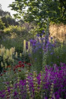 Summery cottage style border with Rose campion, Lupins, Honesty, Sisyrinchium striatum and poppies at Gravetye Manor Gardens
