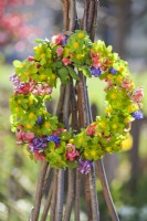 Wreath made of spring flowers including Muscari, Hacquetia epipactis, Corydalis and Chaenomeles.