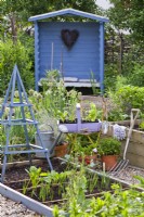 Kitchen garden in spring with raised beds full of new growth, tools and trug of seedlings ready for planting.