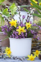 Spring bouquet containing Narcissus 'Tete a Tete', heather and pussy willow.