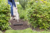 Woman using rake to level out path for placing pavers