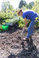 Woman using fork to break up soil around planting area