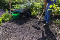 Woman raking away mulch from the surface where the herbs will be planted