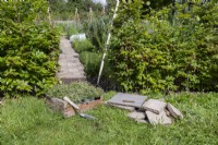 Thyme, stone pavers, trowel and a knife laid out in the ground