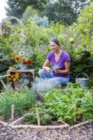 Woman picking sage and Curry plant from large herb wheel