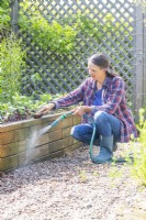 Woman cleaning raised bed using a hose and brush
