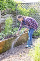Woman cleaning raised bed