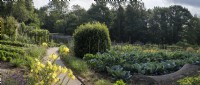 Panoramic view of the walled kitchen garden at Gravetye Manor. Rows of cabbages and vegetables, are mixed with cutting flowers for use in the hotel.