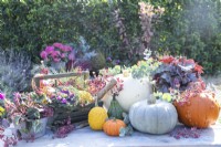 Pumpkins, squashes, Heuchera, berries, cyclamen and a trug containing ornamental kale, squashes, trowel and carex grass arranged on table