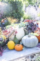 Pumpkins, squashes, Heuchera, berries and eucalyptus sprigs arranged on table