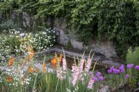 Small formal pond, surrounded with gladioli, phlox and other cutting plants