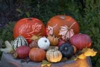 Display of lit, carved pumpkins with autumn leaf motifs at Hallowe'en. Includes carving pumpkins, minature ornamental squash. Acorn squash and autumn leaves on hessian.