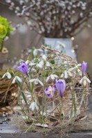 String ball with snowdrops and crocus.