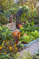 Autumnal kitchen garden with raised beds full of late vegetables including kale, lettuce, Swiss chard, Brussels sprouts and carrots.