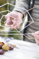 Woman wrapping string around twigs sticking out of conker to create a spider web