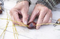 Woman placing willow twigs in conker after having poked four holes on each side