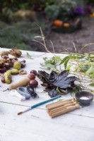 Conkers, Maple leaves, Willow sprigs, bradawl, scissors, string, brush, clothes pegs and glue laid out on table