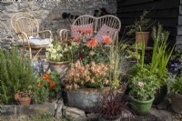 Collection of late summer pots on a patio with garden furniture.