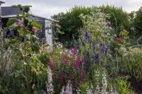 View across cottage garden borders in early summer showing informal planting at different heights, and a jumble of colour
