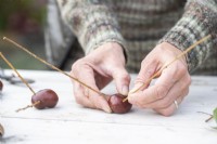 Woman poking the twigs into the holes in the conkers
